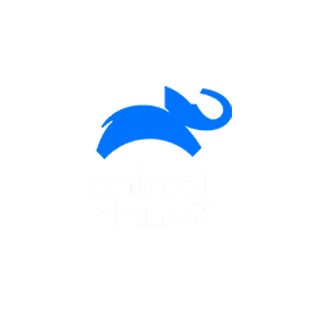 Animal Planet